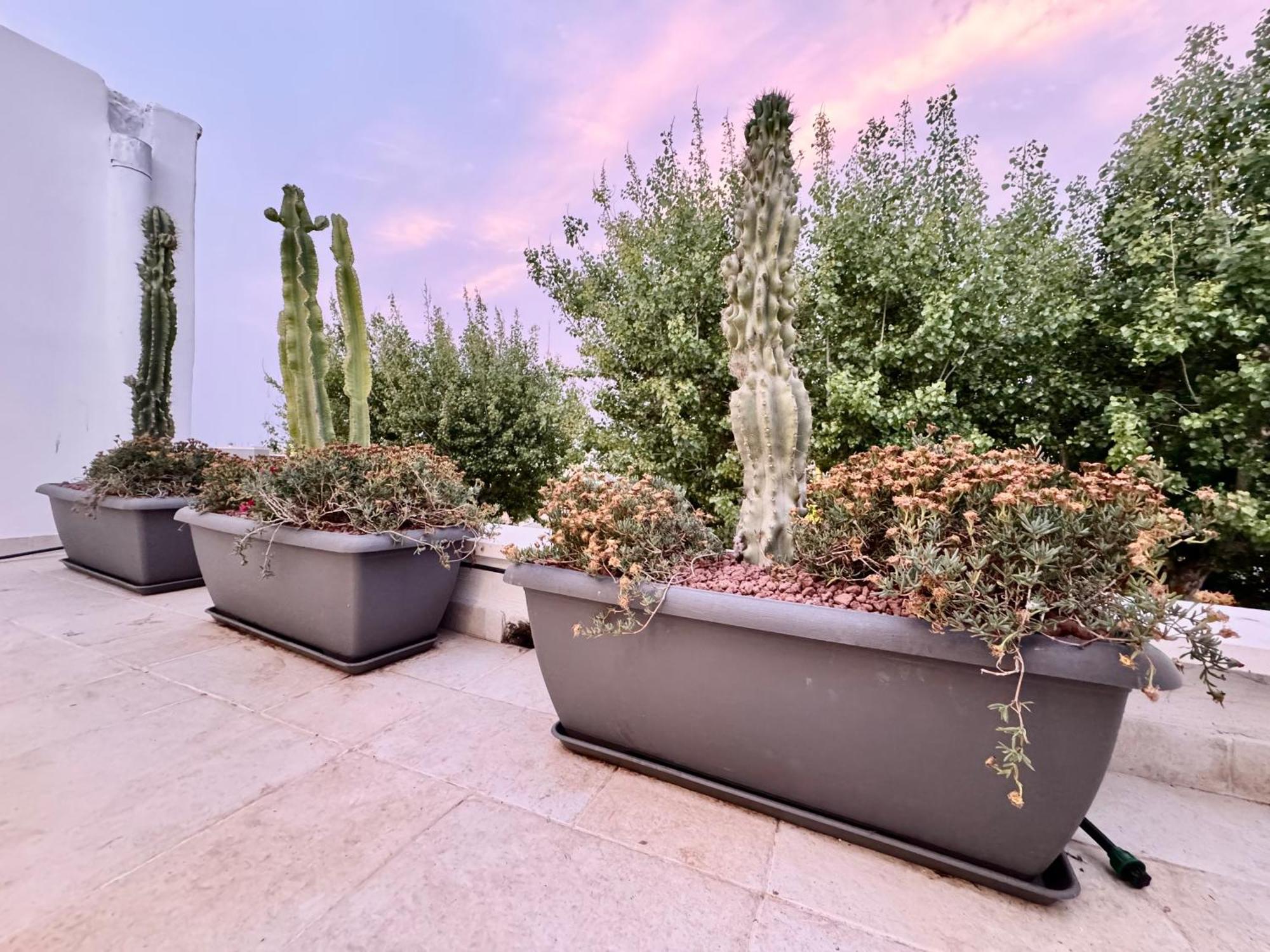 18Zero2 Luxury Rooms Bari Eksteriør bilde